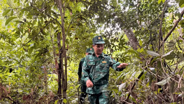 “Rừng che bộ đội, rừng vây quân thù”...