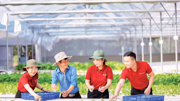 Các doanh nghiệp muốn tham gia sâu vào chuỗi giá trị rất cần nguồn vốn trung dài hạn. (Ảnh: KHÁNH ANH)