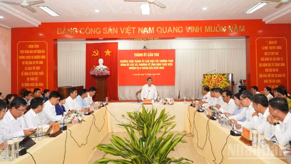 Quang cảnh buổi làm việc.
