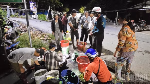 Khoảng nửa đêm, chợ cá đồng Hòa Mỹ bắt đầu nhộn nhịp. (Ảnh: VĂN ÚT)