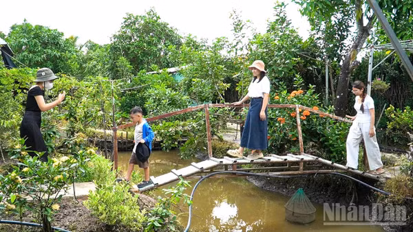 Những trải nghiệm gần gũi với thiên nhiên và đời sống nông thôn đã mang đến cho nhiều gia đình những phút giây thư giãn đúng nghĩa. 