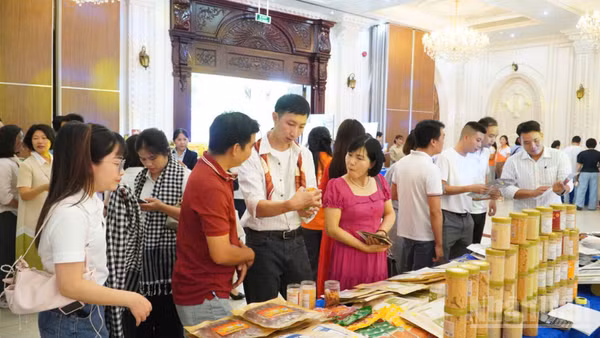 Hơn 30 doanh nghiệp Hà Nội đã tham gia các hoạt động xúc tiến, khảo sát và thực tế đầu tư tại Cần Thơ. (Ảnh: VĂN ÚT)