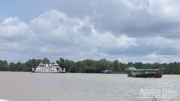 Phương tiện vận chuyển vật liệu xây dựng trên Cửa sông Đại Ngãi. (Ảnh: HOÀI XUYÊN)
