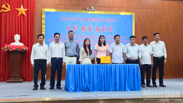 Xã Vị Thủy tổ chức lễ ký kết hợp tác đầu tư bao tiêu lúa giữa doanh nghiệp với các hợp tác xã/tổ hợp tác trên địa bàn. 