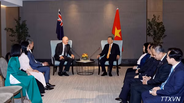 Tổng Bí thư, Chủ tịch nước Tô Lâm tiếp ông Steven Joyce, Quyền Chủ tịch Hội Hữu nghị New Zealand-Việt Nam và một số thành viên tiêu biểu của Hội. (Ảnh: Thống Nhất/TTXVN)