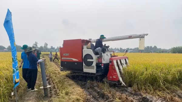 Đo lường chỉ số làm cơ sở cho dữ liệu vùng trồng lúa giảm phát thải. Ảnh: VB