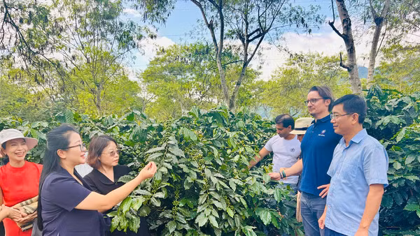Công ty cổ phần cà- phê Detech, Tập đoàn Neumann Kaffee Gruppe thăm vùng nguyên liệu tại xã Mường Ảng, tỉnh Điện Biên.