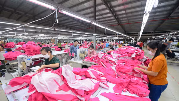 Theo dự báo, nhiều công việc có tính chất lặp đi lặp lại sẽ bị AI thay thế. Ảnh | THÀNH ĐẠT