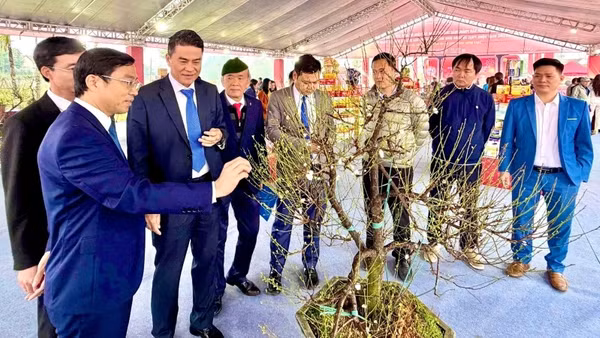 Sản phẩm hoa mai trắng (nhất chi mai) của làng nghề An Hòa, xã Suối Hai được giới thiệu, quảng bá tại triển lãm.