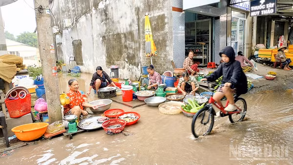Nơi buôn bán cá của tiểu thương lênh láng nước tại chợ Thanh Đức, phường Thanh Đức, tỉnh Vĩnh Long. (Ảnh: BÁ DŨNG)