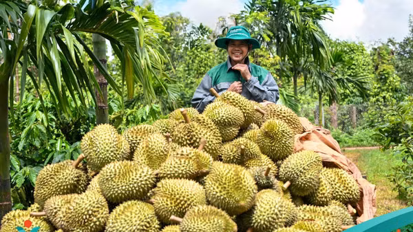 Bức ảnh tham gia Triển lãm ảnh nghệ thuật “Nữ hoàng của đại ngàn xanh”. (Ảnh: Đạm Phú Mỹ) 
