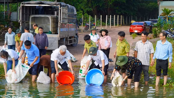 Các cán bộ và nhân viên của Khu Bảo tồn thiên nhiên - văn hóa Đồng Nai thực hiện chương trình thả cá. 