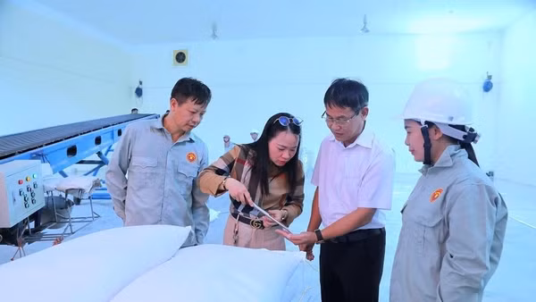 Cục Dự trữ Nhà nước (Bộ Tài chính) vừa ban hành Quyết định số 391/QĐ-CDT ngày 28/8/2026 phê duyệt Kế hoạch bán đấu giá gạo dự trữ quốc gia thuộc chỉ tiêu kế hoạch xuất năm 2026.