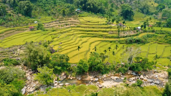 Ruộng bậc thang ở xã Sơn Tây Thượng.
