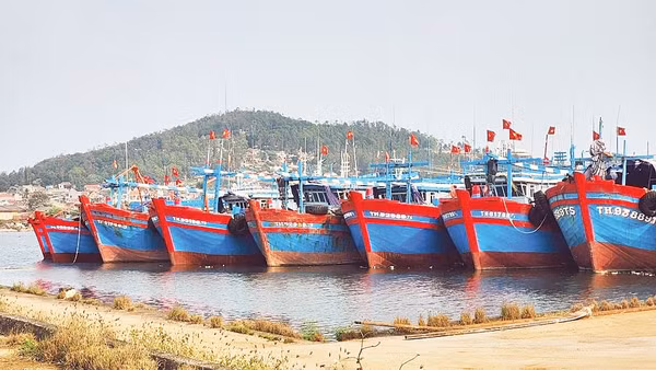 Cảng cá Lạch Bạng (Thanh Hóa) được lựa chọn là một trong ba cảng cá trên cả nước thí điểm mô hình cảng cá kiểu mẫu. Ảnh: Thu Thủy
