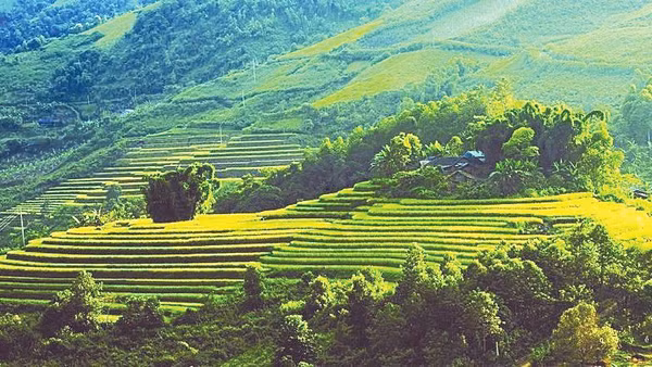 Khu bảo tồn thiên nhiên Pù Luông được bảo vệ nghiêm ngặt, phục vụ phát triển du lịch.