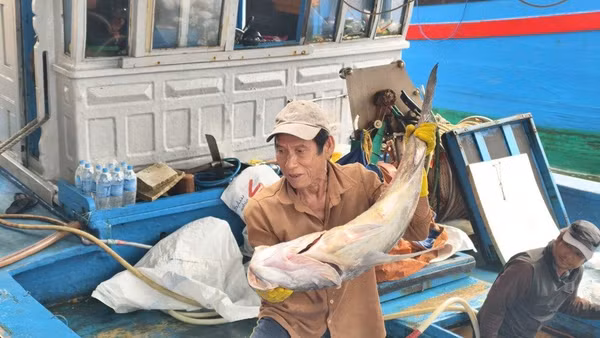 Những thay đổi giúp ngư dân đánh bắt hiệu quả hơn. Ảnh: Như Đồng