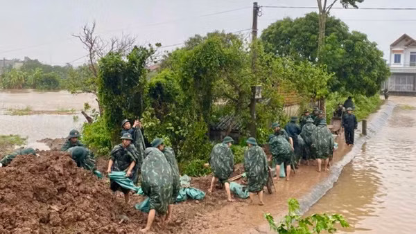 Lực lượng chức năng cùng chính quyền và nhân dân xã Hồng Vũ khắc phục sự cố đê điều. 