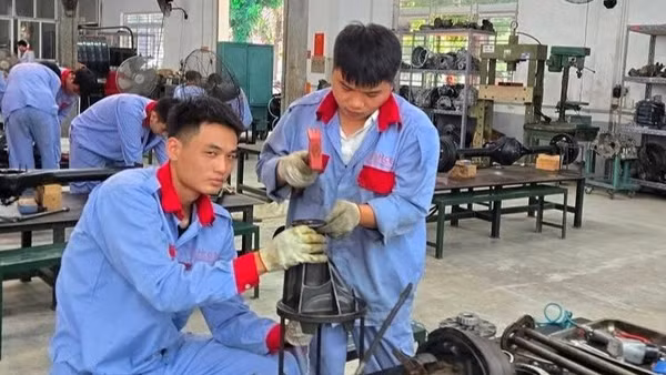 Việc lựa chọn học nghề giúp giảm tải kỳ thi vào THPT và đáp ứng nhu cầu nhân lực cho thị trường lao động.