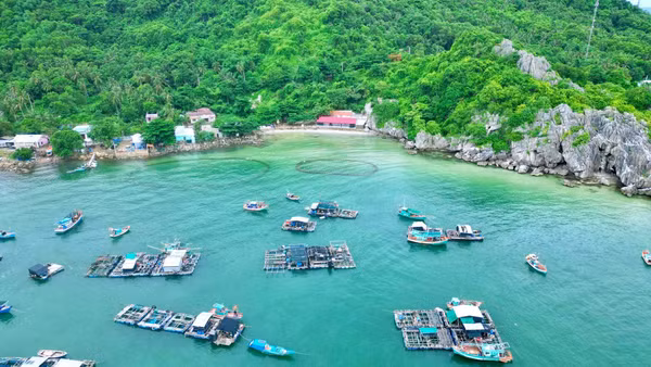 Xã đảo Hòn Nghệ phát triển mạnh nghề nuôi cá lồng bè trên biển. Ảnh: Khương Nhựt Minh 