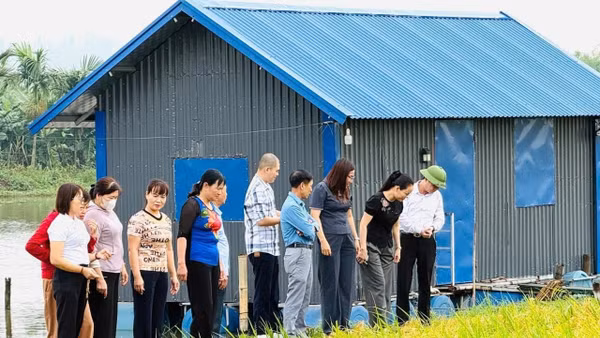 Khách tham quan mô hình “cánh đồng xanh 3 không” của gia đình ông Lưu Văn Vọng.. Ảnh: Thu Thủy