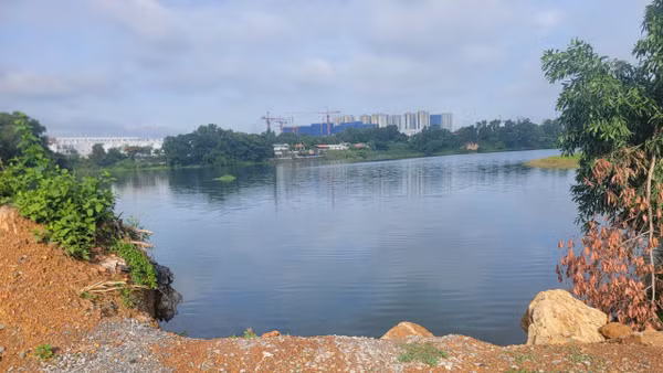 Một hồ nước trên địa bàn phường Đông Hòa (khu vực tỉnh Bình Dương cũ). 