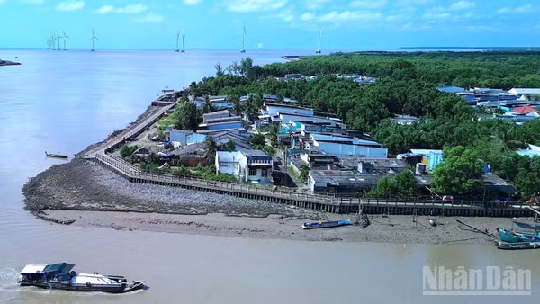 Khu vực ven biển xã Tân Thuận, tỉnh Cà Mau - nơi đề xuất bổ sung tổ hợp lọc hóa dầu quy mô lớn. (Ảnh: HỮU TÙNG)