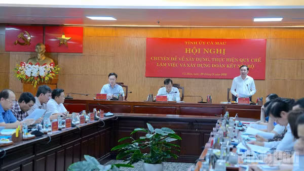 Quang cảnh cuộc họp chuyên đề chiều 29/9. (Ảnh: HỮU TÙNG)