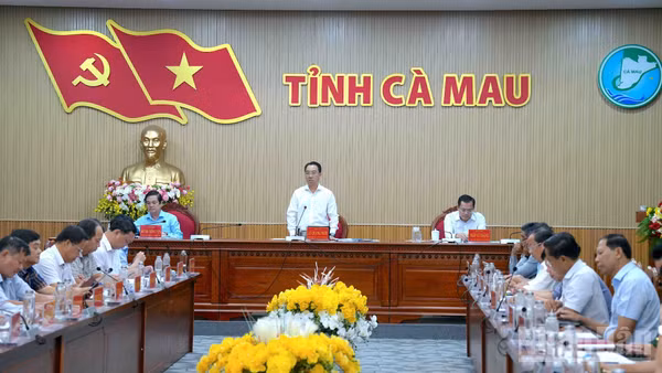 Quang cảnh phiên họp chiều 29/9 của Ủy ban nhân dân tỉnh Cà Mau. (Ảnh: HỮU TÙNG)