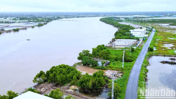 Khu vực triển khai Dự án Kè bảo vệ bờ sông thị trấn Gành Hào (đoạn G6), thuộc ấp Canh Điền, xã Gành Hào, tỉnh Cà Mau. (Ảnh: HỮU TÙNG)