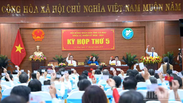 Các đại biểu Hội đồng nhân dân tỉnh Cà Mau biểu quyết thông qua các nghị quyết tại kỳ họp chuyên đề thứ 5 vào chiều 17/8. (Ảnh: HỮU TÙNG)