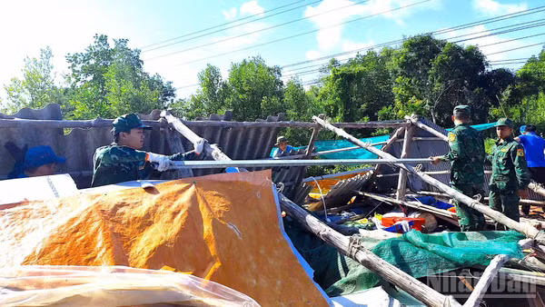 Cán bộ, chiến sĩ Đồn Biên phòng Đất Mũi, cùng các lực lượng tại chỗ hỗ trợ hộ ông Phan Chí Tâm khắc phục hậu quả thiên tai. (Ảnh: Hoàng Tá)