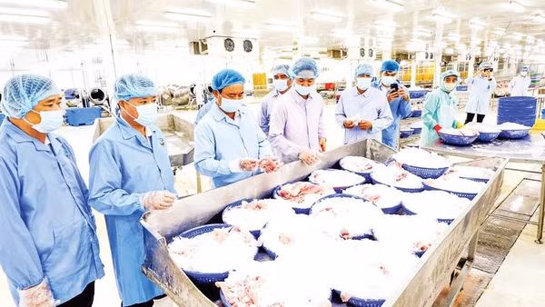 Lĩnh vực chế biến và xuất khẩu thủy, hải sản góp phần vào tăng trưởng kinh tế của tỉnh.