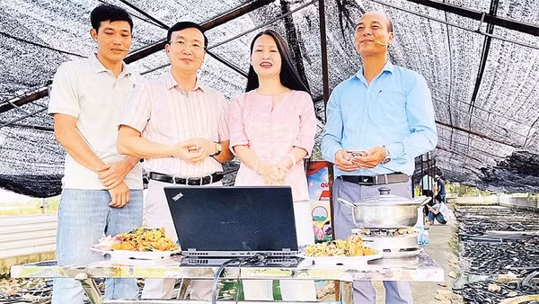 Phiên livestream giới thiệu nông sản lần thứ 5 xã Ứng Hòa (Ảnh KIM XUYẾN)