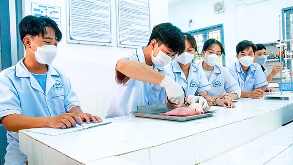 Sinh viên Trường đại học Cửu Long đang thực hành thí nghiệm. (Ảnh: VĂN DÔ)