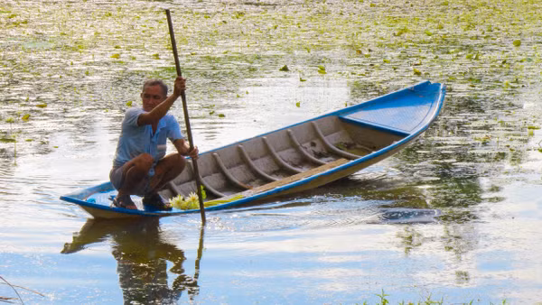Dù con nước về nhiều hay ít thì nghề đánh bắt, khai thác sản vật đồng quê trong mùa nước nổi vẫn là cách mưu sinh độc đáo của người dân miền sông nước. Ảnh: Nguyễn Hằng