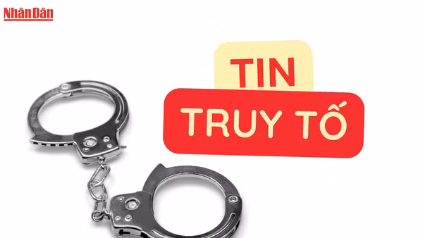Truy tố nhóm bị can trong vụ án lừa đảo xin cấp phép