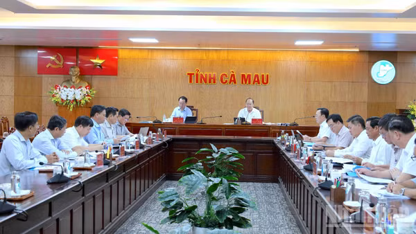 Cuộc họp của Ban Chỉ đạo 600 dưới sự chủ trì của người đứng đầu Đảng bộ và chính quyền tỉnh Cà Mau. (Ảnh: HỮU TÙNG)