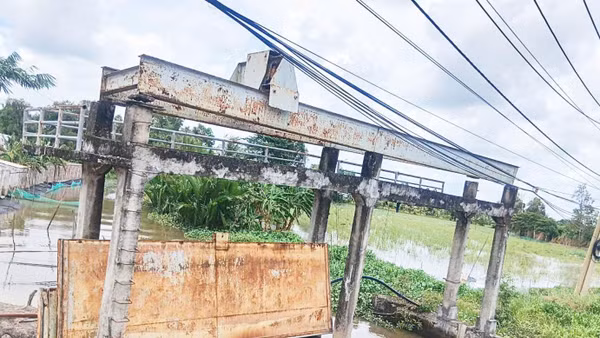 Không chỉ hạ tầng xuống cấp, công tác quản lý dịch vụ thủy lợi cũng còn nhiều bất cập.