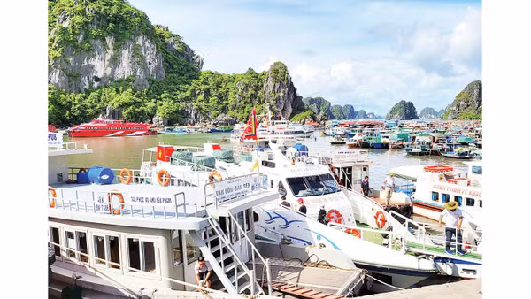 Cảng tàu Cái Rồng, đặc khu Cô Tô, Quảng Ninh. 