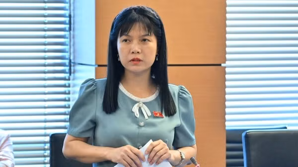 Đại biểu Quốc hội đề nghị siết tình trạng đất dự án chậm đưa vào sử dụng