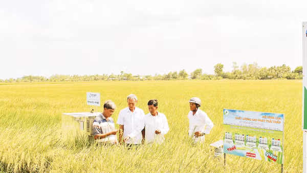 Để triển khai Đề án hiệu quả cần tiếp tục đào tạo nâng cao năng lực cho các tổ khuyến nông cộng đồng, hợp tác xã và tổ hợp tác. Ảnh: Trung tâm KNQG