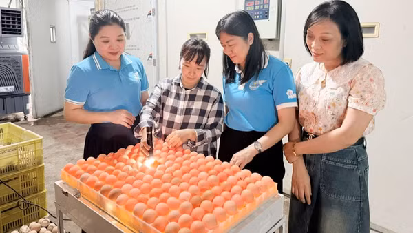 Lãnh đạo Hội Liên hiệp Phụ nữ thành phố thăm mô hình khởi nghiệp, phát triển kinh tế của phụ nữ tại xã Đại Lai. ( Ảnh: N.H)