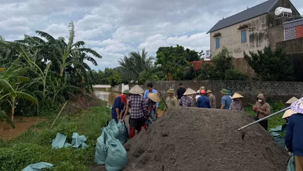 Phụ nữ phường Tân An phối hợp cùng các lực lượng chức năng gia cố đê. (Ảnh: PN)