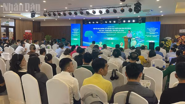 Quang cảnh chương trình gặp gỡ, giao thương, kết nối, hợp tác chuỗi cung ứng sầu riêng Việt Nam-Trung Quốc, tỉnh Đắk Lắk năm 2026. (Ảnh: Nguyễn Công Lý)