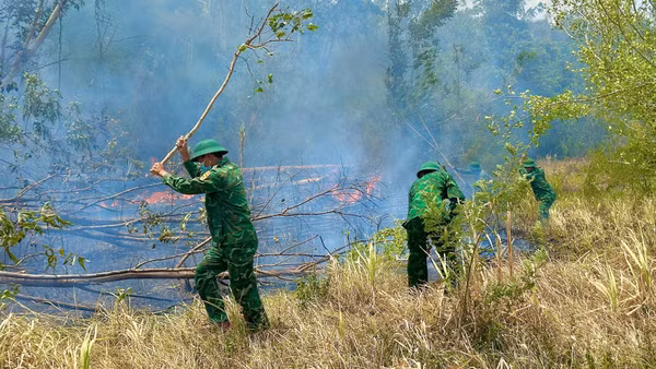 Các lực lượng tham gia khống chế cháy rừng. (Ảnh: Ngọc Lân)