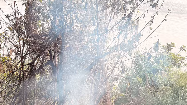 Các loại rác thải cồng kềnh bị vứt bỏ một cách tùy tiện, nhất là ở những khu vực ít người qua lại, như bờ sông...