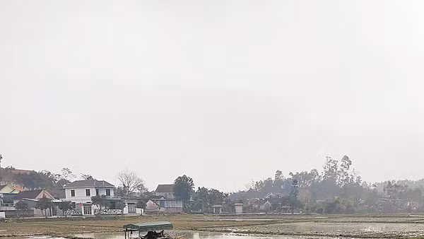 Nông dân xã Đại Đồng sử dụng máy cày để làm vụ lúa đông xuân.