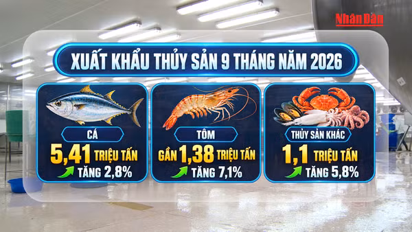 [Video] Ngành thủy sản hướng tới mục tiêu xuất khẩu 12 tỷ USD