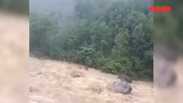 [Video] Mưa lớn gây sạt lở, đe dọa nhà dân tại miền núi Đà Nẵng